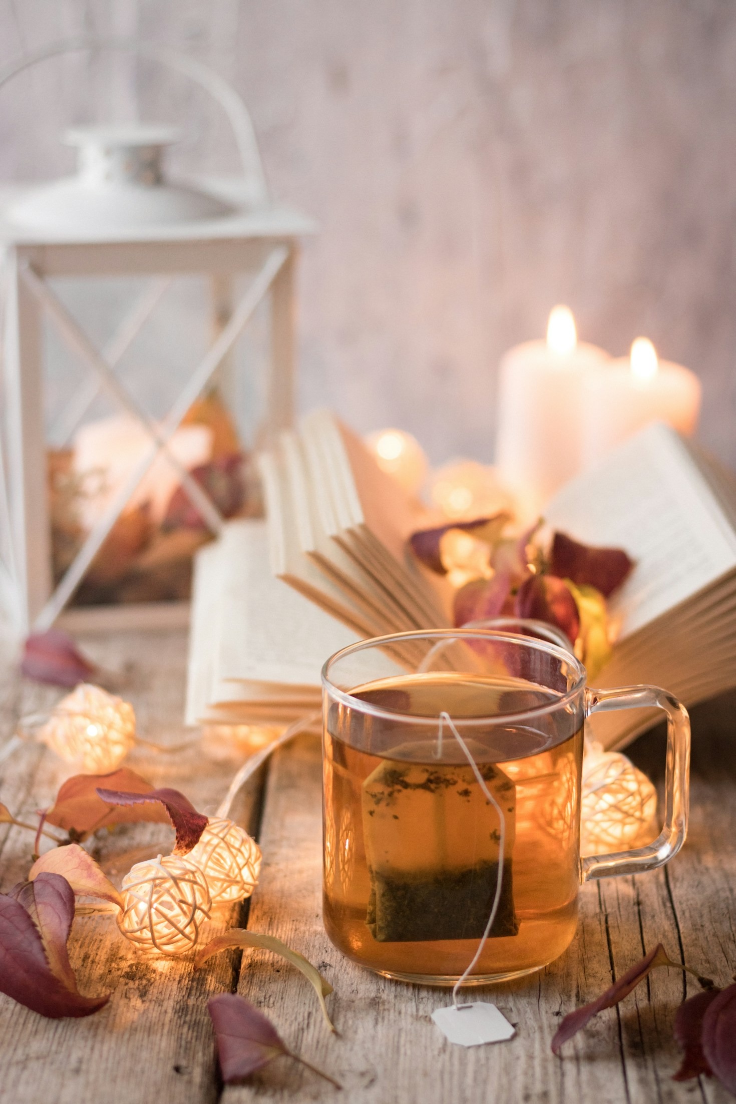 Bild und Buch: Hinter den Kulissen unserer Literaturfotografie
